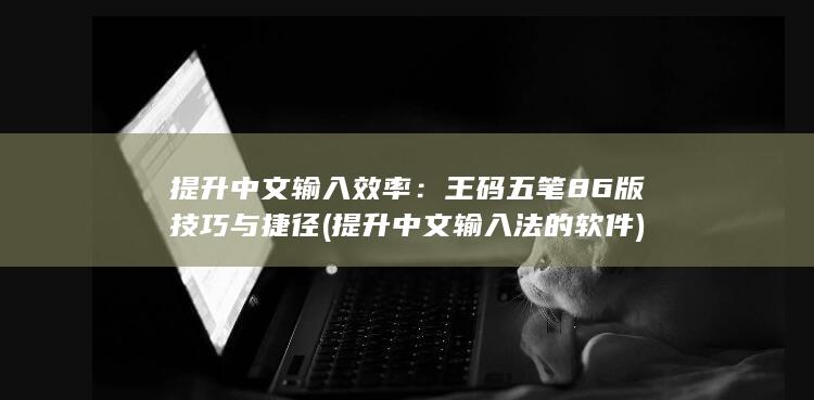 提升中文输入效率：王码五笔86版技巧与捷径 (提升中文输入法的软件)